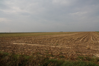 östlich von Wellersen, Blick nach Norden — öde!