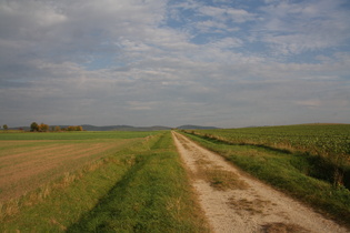 zwischen Odagsen und Salzderhelden, Blick nach Osten