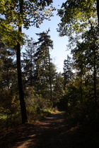 Benther Berg, Südflanke, fast so wie im MIttelgebirge