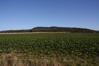 Gehrdener Berg, Nordwestflanke