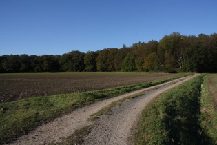 Großes Holz, Südrand