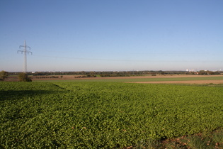 westlich Kollrothshöhe, Blick auf die norddeutsche Einöde