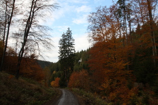 Abfahrt im Kalbetal auf glitschiger, da total verdreckter Straße