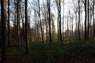 Benther Berg, Blick nach Südosten