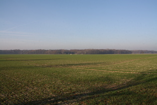 und das flache Elend, Blick auf das Große Holz