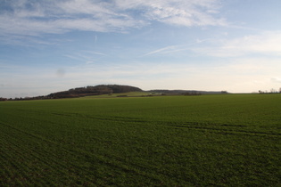 Gehrdener Berg, Nordwestflanke