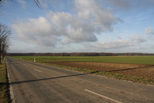 westlich von Northen, Blick auf das Große Holz