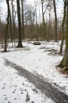 zwischen Velber und Lenthe: zugefrorene sumpfige Stelle