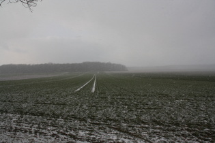 zwischen Königseiche und Döteberg …