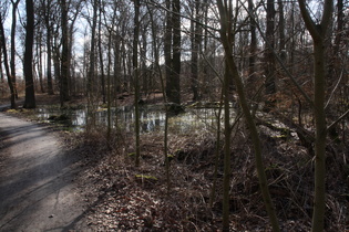 zwischen Velber und Lenthe