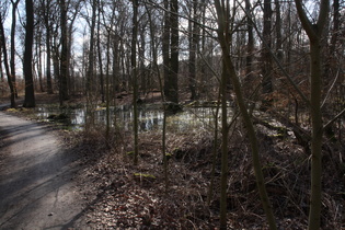 zwischen Velber und Lenthe