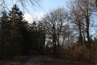 Blick von Südosten auf den Annaturm