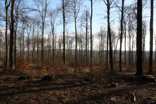 zwischen Annaturm und Laube, Blick nach Südwesten