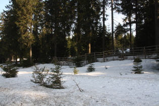 auf gut 800 Meter Höhe …