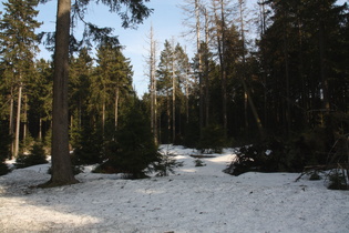 … hält sich der Winter hartnäckig