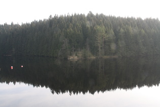 Okertalsperre: ruhiges Wasser in der Vorsperre