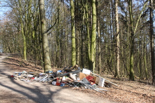 "Frühlingsboten" am Südhang des Benther Berges