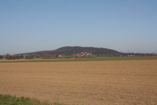 zwischen Ditterke und Großem Holz, Blick nach Nordosten zum Benther Berg