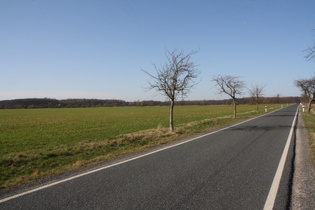 zwischen Ditterke und Großem Holz, Blick nach Nordwesten zum Großen Holz