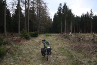 … steht ein intensives Naturerlebnis unmittelbar bevor