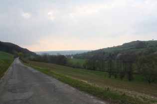 zwischen Dassel und Krimmensen, Blick nach Westen