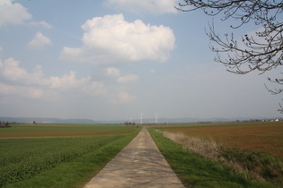 zwischen Wellersen und Salzderhelden, Blick nach Osten