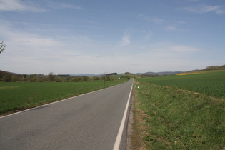 zwischen Niedersachswerfen und Appenrode, Blick nach Westen