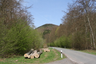 nördlich von Sülzhayn sieht es allmählich nach Harz aus