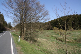 Rappbodetal zwischen Benneckenstein und Trautenstein, die zahllosen Mäander der Rappbode zeigen die Flachheit des Tals