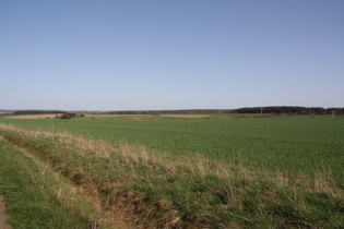 zwischen Trautenstein und Hasselfelde, Blick nach Südosten