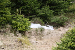 … finden sich letzte Schneereste