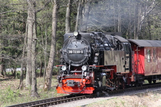 auf dem Rückweg gab's dann doch noch 'ne "Schranke", …