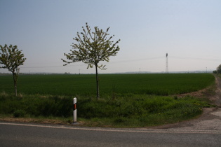 zwischen Hörselgau und Waltershausen, Blick nach Süden