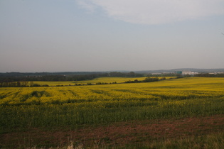 zwischen Gräfenhain und Ohrdruf, Blick nach Osten