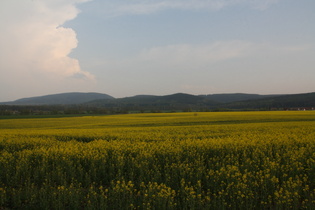 zwischen Gräfenhain und Ohrdruf, Blick nach Westen