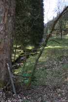 der Silbergraben, Blick flussaufwärts nach Westen