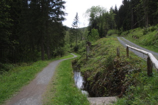 Dammgraben, Blick gegen die Fließrichtung