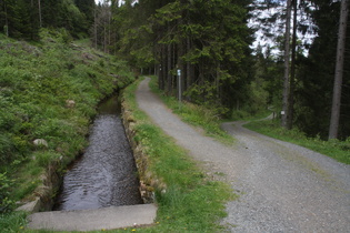 Dammgraben, Blick in die Fließrichtung