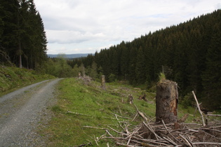 … Blick zurück Richtung Altenau