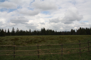 Blick zum Brocken von Sonnenberg aus