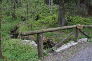 die Radau, Blick flussaufwärts