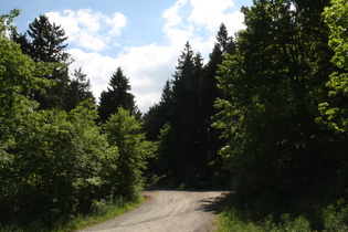 Sternplatz, Waldweg anch Süden