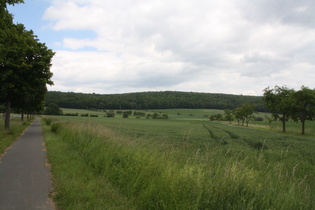 zwischen Hameln und Holtensen, Blick nach Nordosten