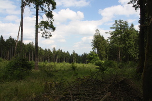 Blick vom Süntel nach Norden