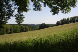 Blick nach Osten in einer steilen Rampe südlich des Molkenhauses