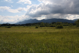 Alpen (Ammergauer Alpen, Nordflanke)