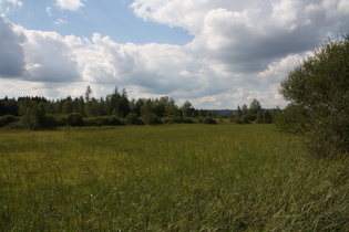 Blick über das Murnauer Moos nach Nordwesten