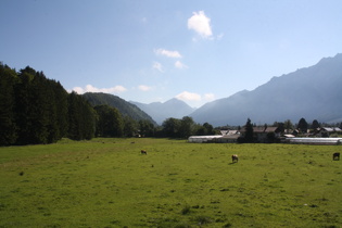 Morgenstimmung in Oberau