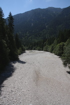 die Linder, Versickerung östlich von Graswang, Blick flussabwärts