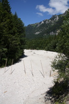 die Linder, Versickerung östlich von Graswang, Blick flussaufwärts